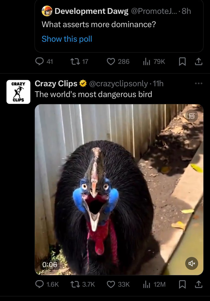 timkylander's tweet photo. Twitter is beautiful I do t care what you say https://t.co/IHfi4aOfyp