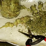 Photo by Lets Get Stoned😉💨💨 (@letsgetstoned00)