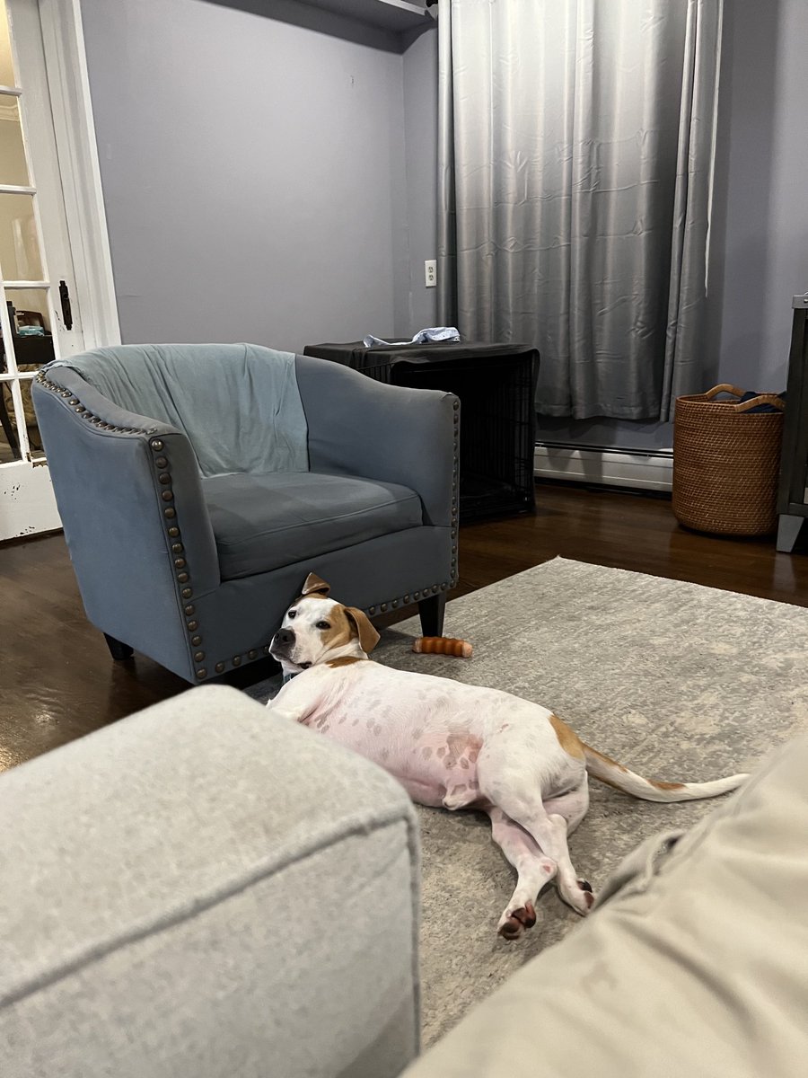 GABeech's tweet photo. I cozy … how? https://t.co/4krj6lB34r