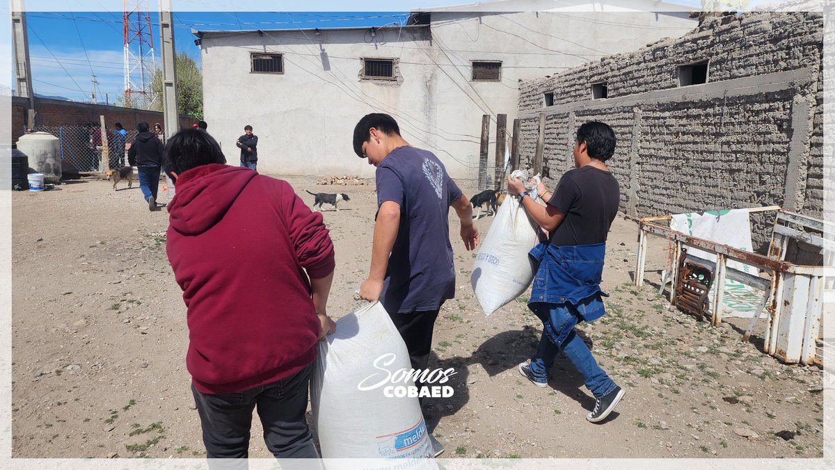 COBAEDNI's tweet photo. #SomosCOBAED | A veces los perros nos enseñan los verdaderos colores del amor. Los grupos del 201 al 205 trabajaron en un proyecto para apoyar al refugio Dejando Huella N.I, en la materia de Práctica y Colaboración Ciudadana, bajo la asesoría del profesor @ChuyEscobarDiaz. https://t.co/Pypko8SjnO
