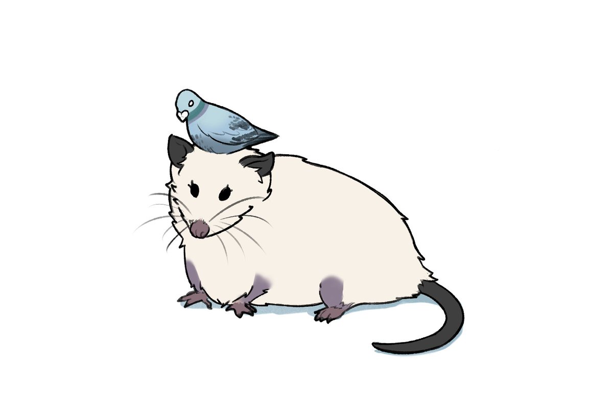 Commission for a pigeon