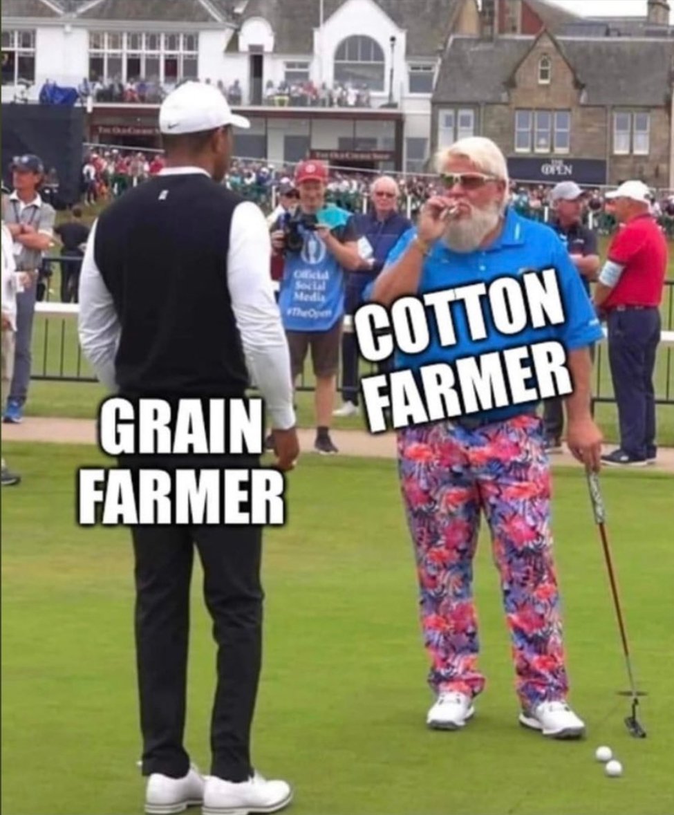 davidocker286's tweet photo. #cotton https://t.co/miYg1X5wka