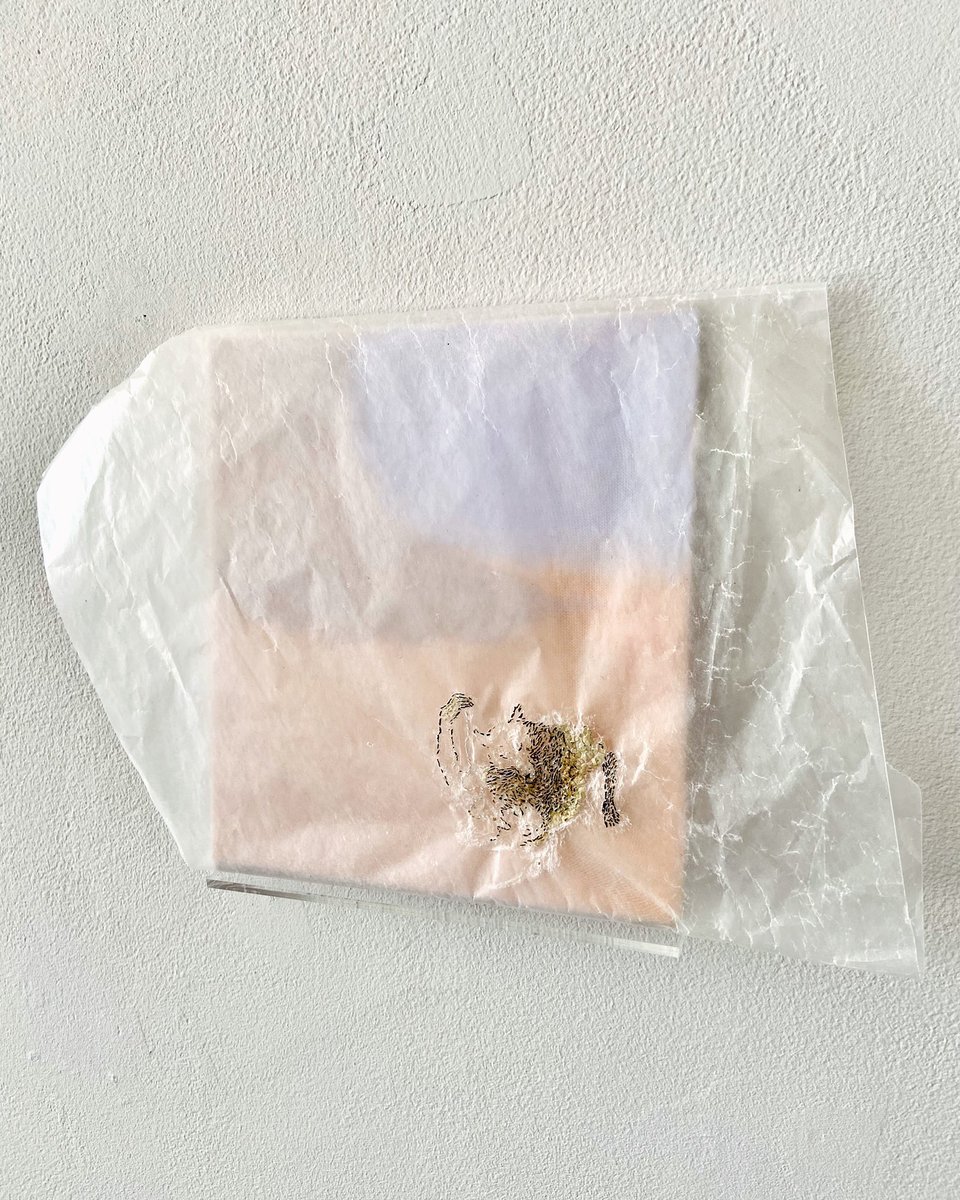 HAPS 企画 「具ささ」
キュレーション 遠藤水城
本日もはじめました。18時までです。

大田黒衣美 さんの出品作です　@emiotaguro
峠の医者狸 2024
H27×W17×D1.3 cm
鶉の卵、ワックスペーパー、 ガッシュ、木の板、布、ストッキ ング

@kayokoyukigallery
#TSUBUSASA #遠藤水城