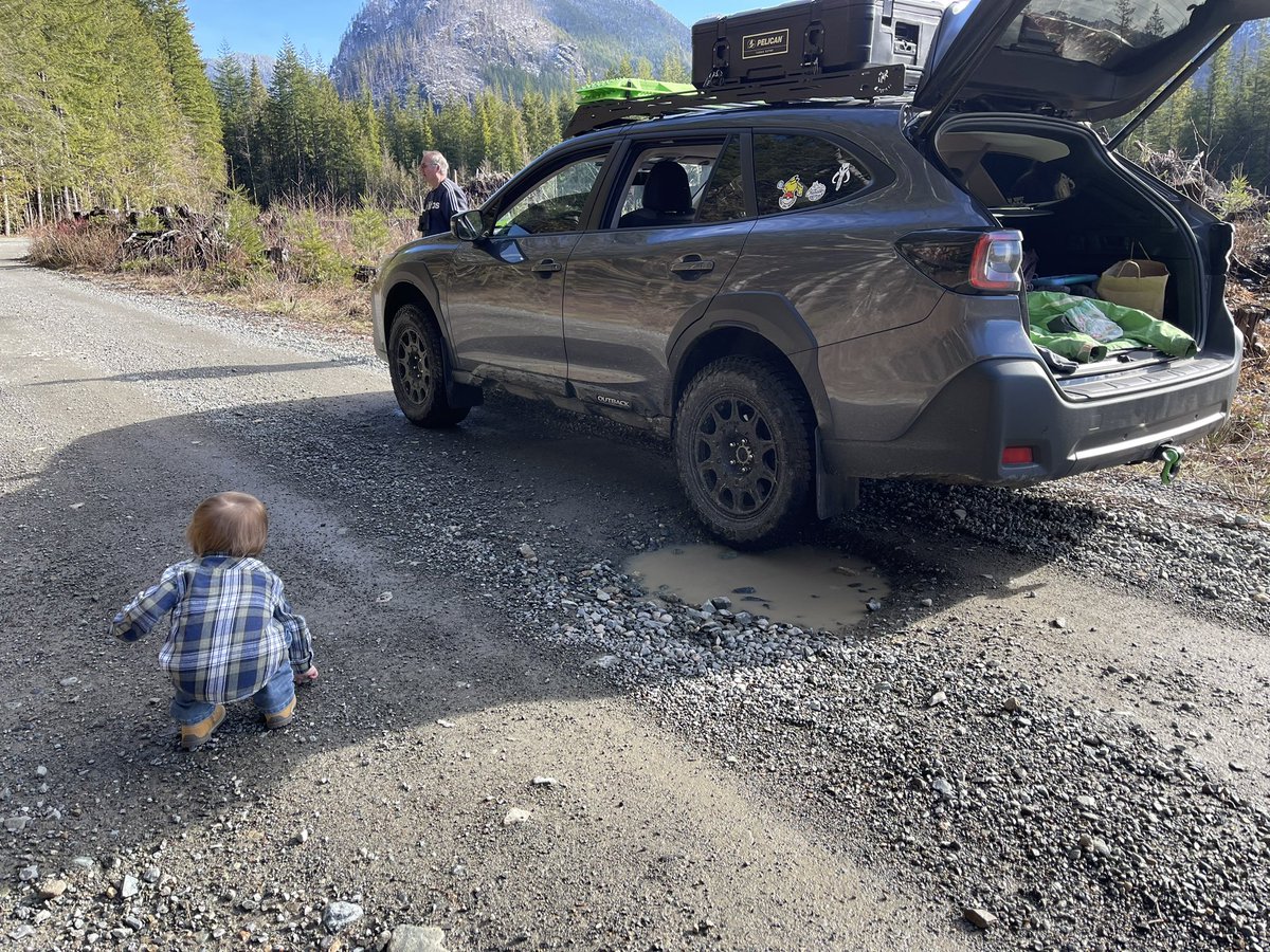 Mandamaebe tweet media