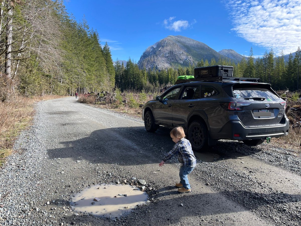 Mandamaebe tweet media