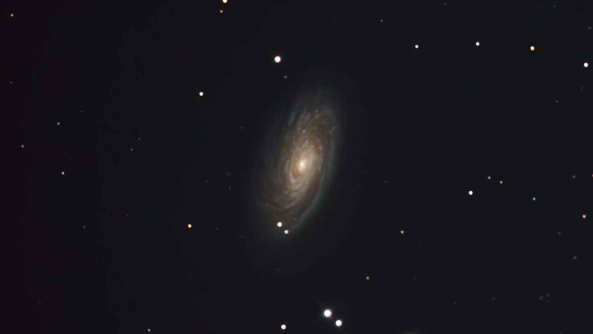 DobsonianPower's tweet image. Messier 88 Galaxy in Coma Berenices from last Live Stream 
12&quot; Dobsonian Telescope 
Eq platform 
Zwo 294 
Optolong L-Quad Enhance Filter 
Live Stack with Sharpcap 
Neat image to clean noise, nothing more than this 
15 minutes total 
8 sec. exp.
Bortle 5
#dobsonianpower
#sharpcap