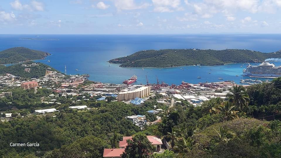 Nancy Bigoss, Author tweet media