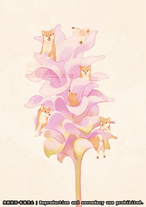 「flower shiba inu」 illustration images(Latest)