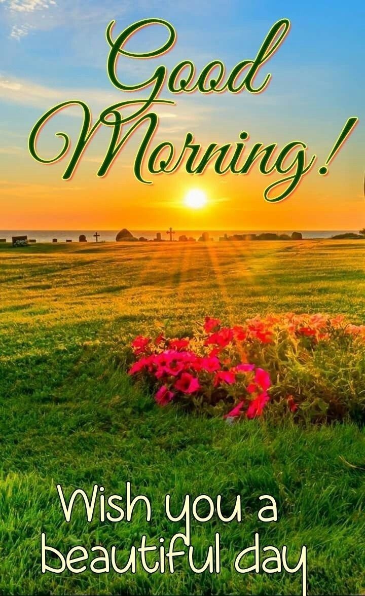 muhammadja85448's tweet photo. Assalamualaikum
Good morning https://t.co/W3dR8Ekcw0