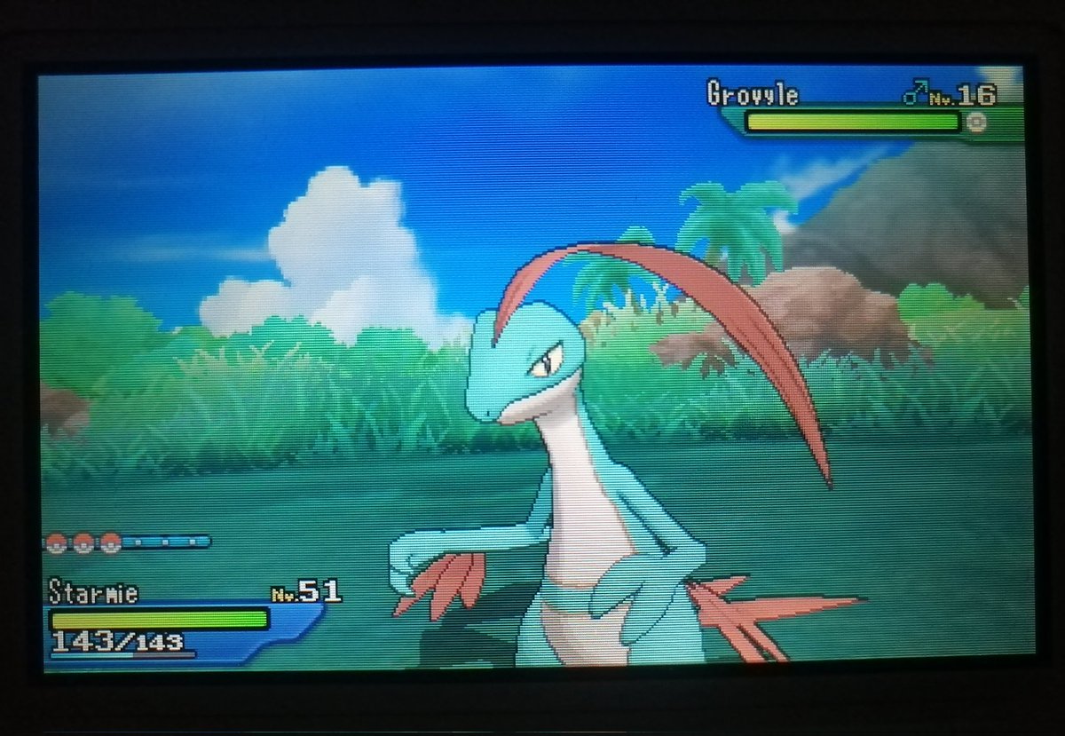RedThg's tweet photo. Shiny Grovyle ✨
Después de 874 RE
#ShinyPokemon https://t.co/8TqVym3Bk1