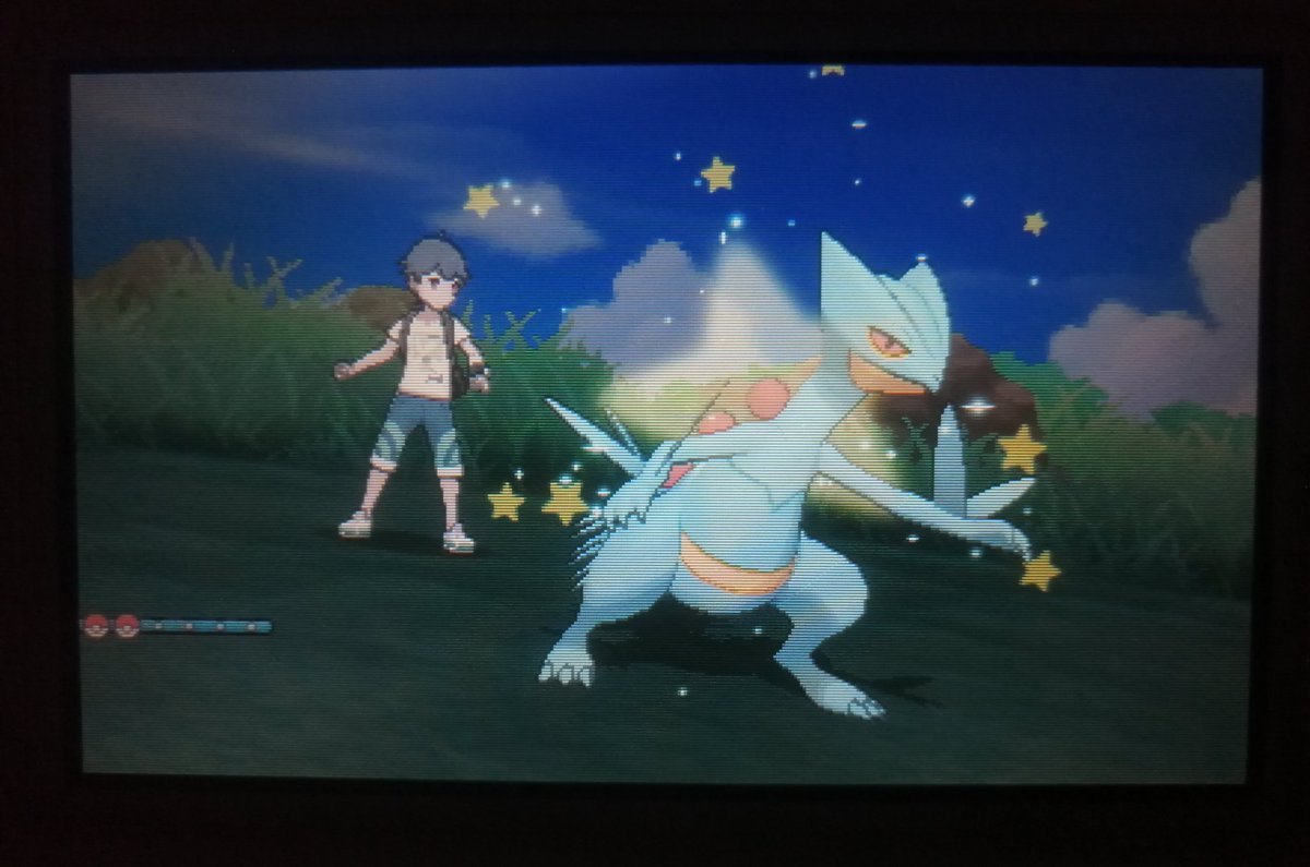 Shiny Grovyle ✨
Después de 874 RE
#ShinyPokemon