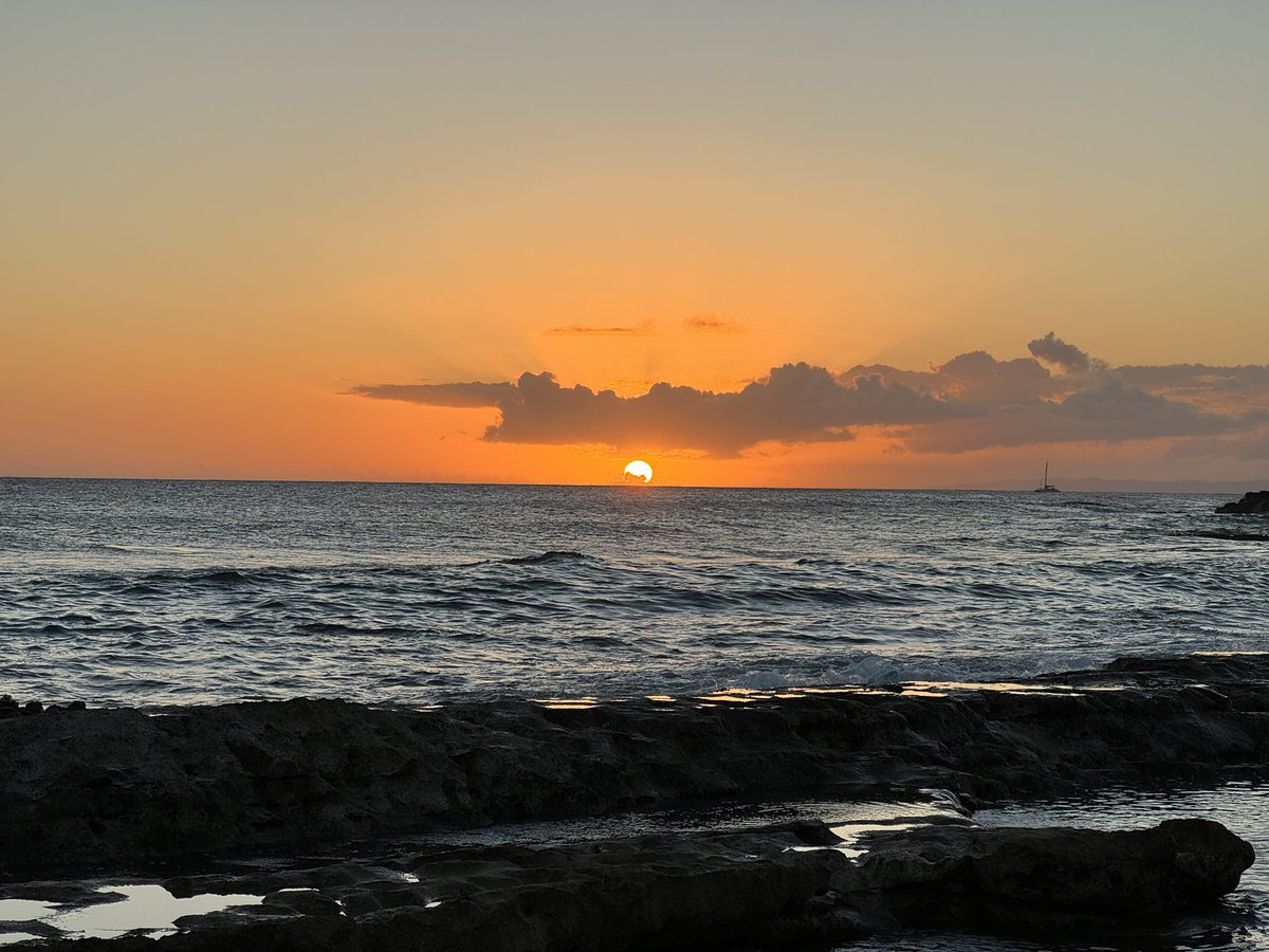 sharky (⟐,⟐) tweet media