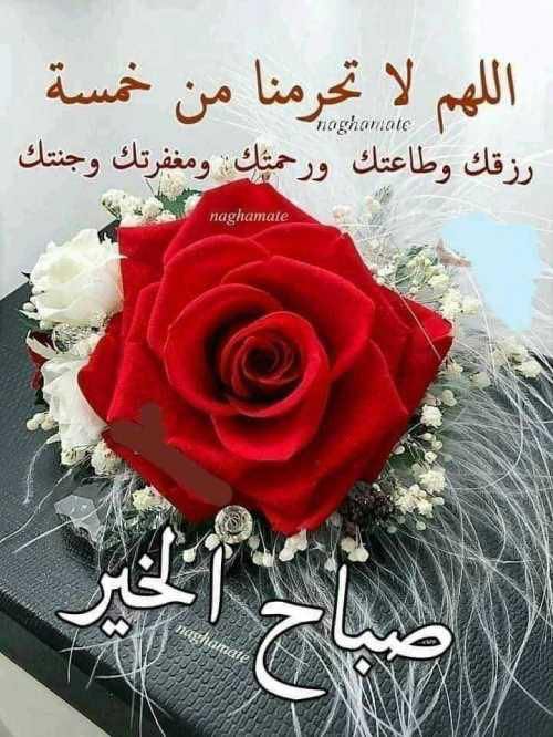 freedoom558's tweet photo. يا مجيب الدعاء https://t.co/8gjKZtZNBX