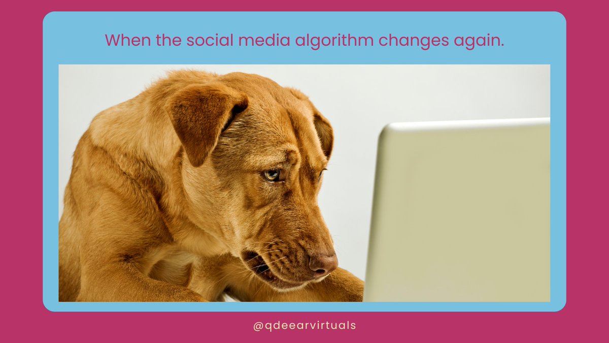 qdeearvirtuals's tweet image. Rollercoaster of Emotions: When the Social Media Algorithm Shifts Again! 🎢📲
Curious about what I can do for you?
Explore my portfolio now and let's turn ideas into reality!
bit.ly/3SO9XkF 
#EmbraceChange #SocialMediaJourney #AlgorithmAdventure #AlgorithmShifts
