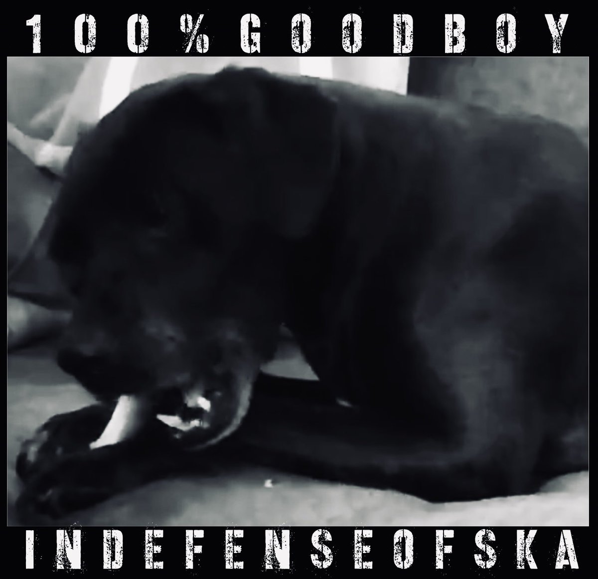 @no_funeral @indefenseofska Or