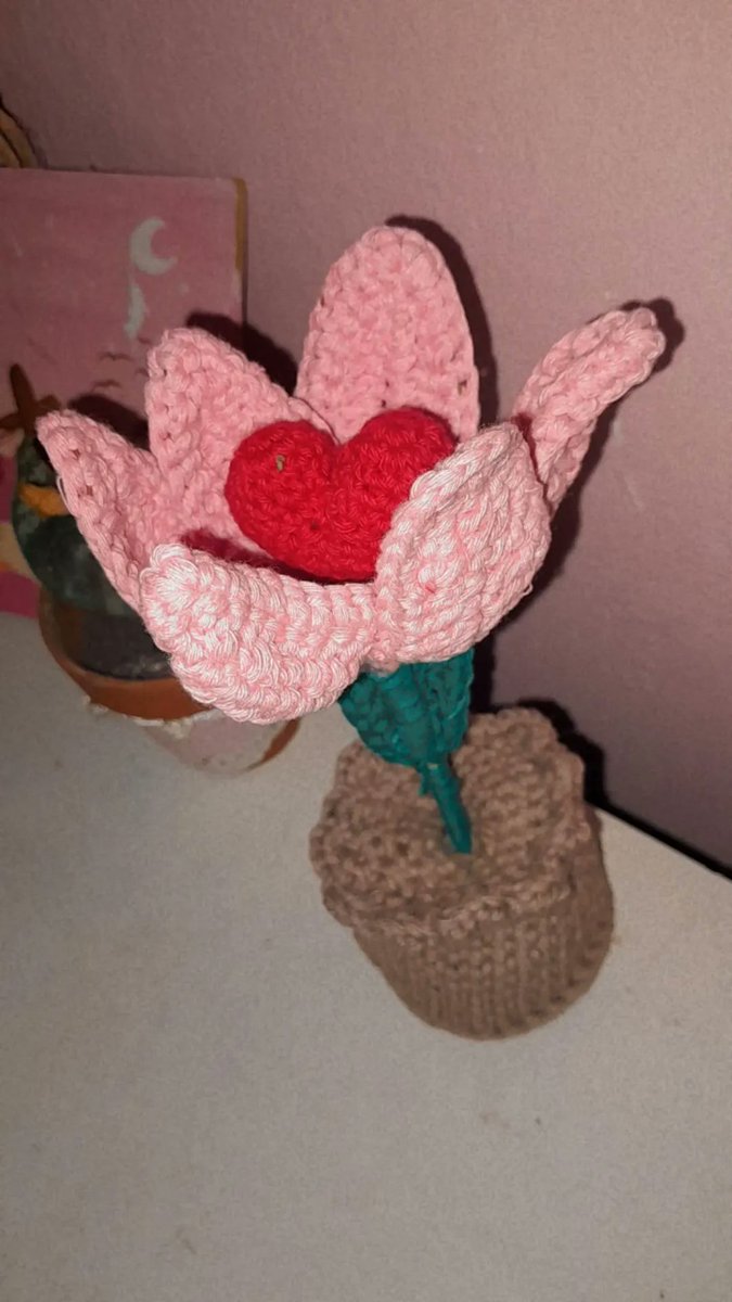 Soy fan de los tulipanes  desde que tengo memoria,le dije a mi amiga y su mamá me tejió uno para regalarmelo😍🥺🌷✨️✨️