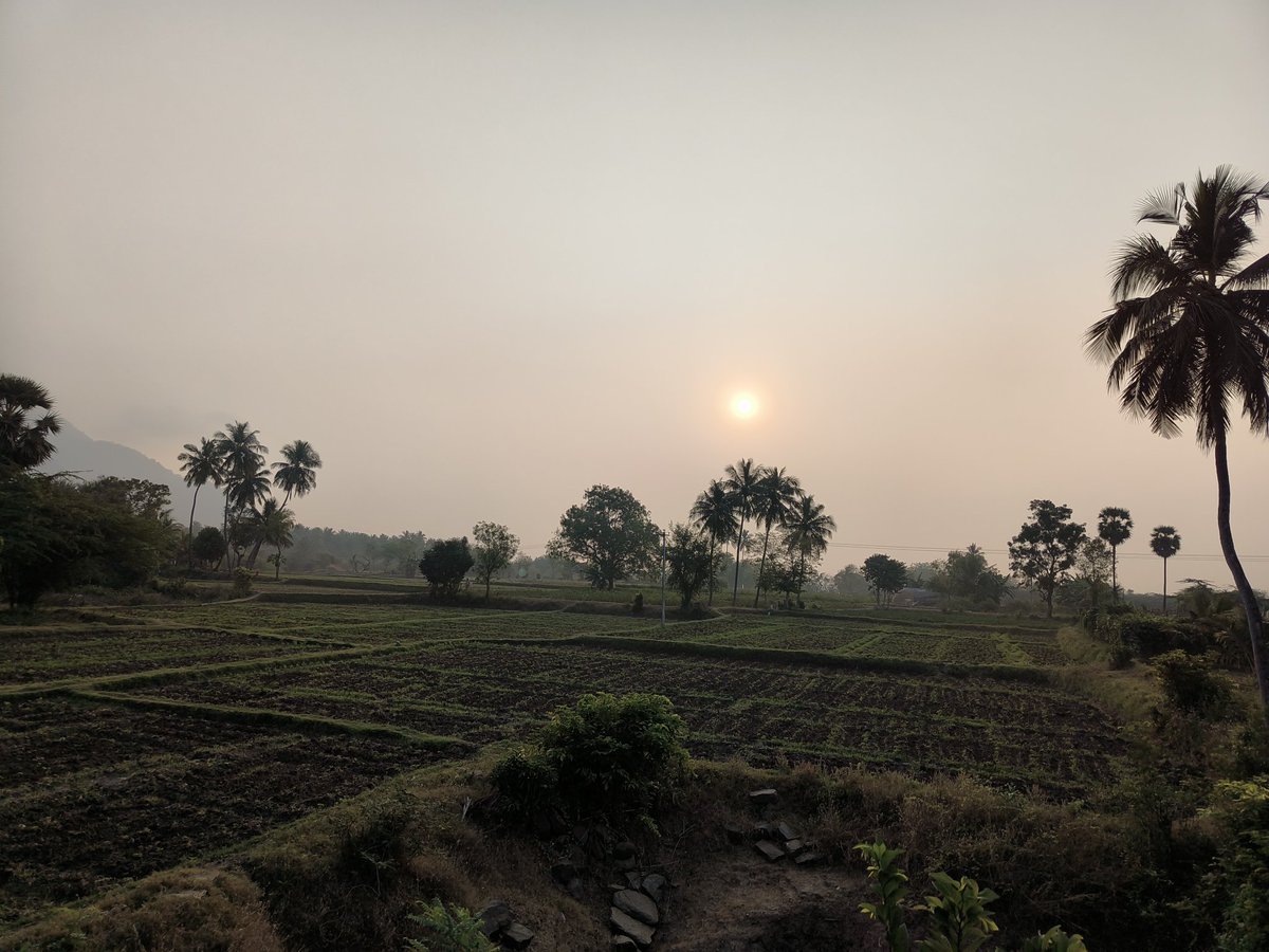 ImP__Azhagar's tweet image. Happy Sunday makkale 💚

#nativelove