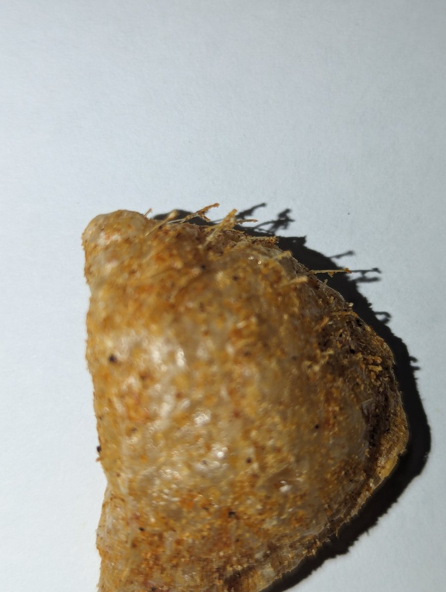 James S. tweet media