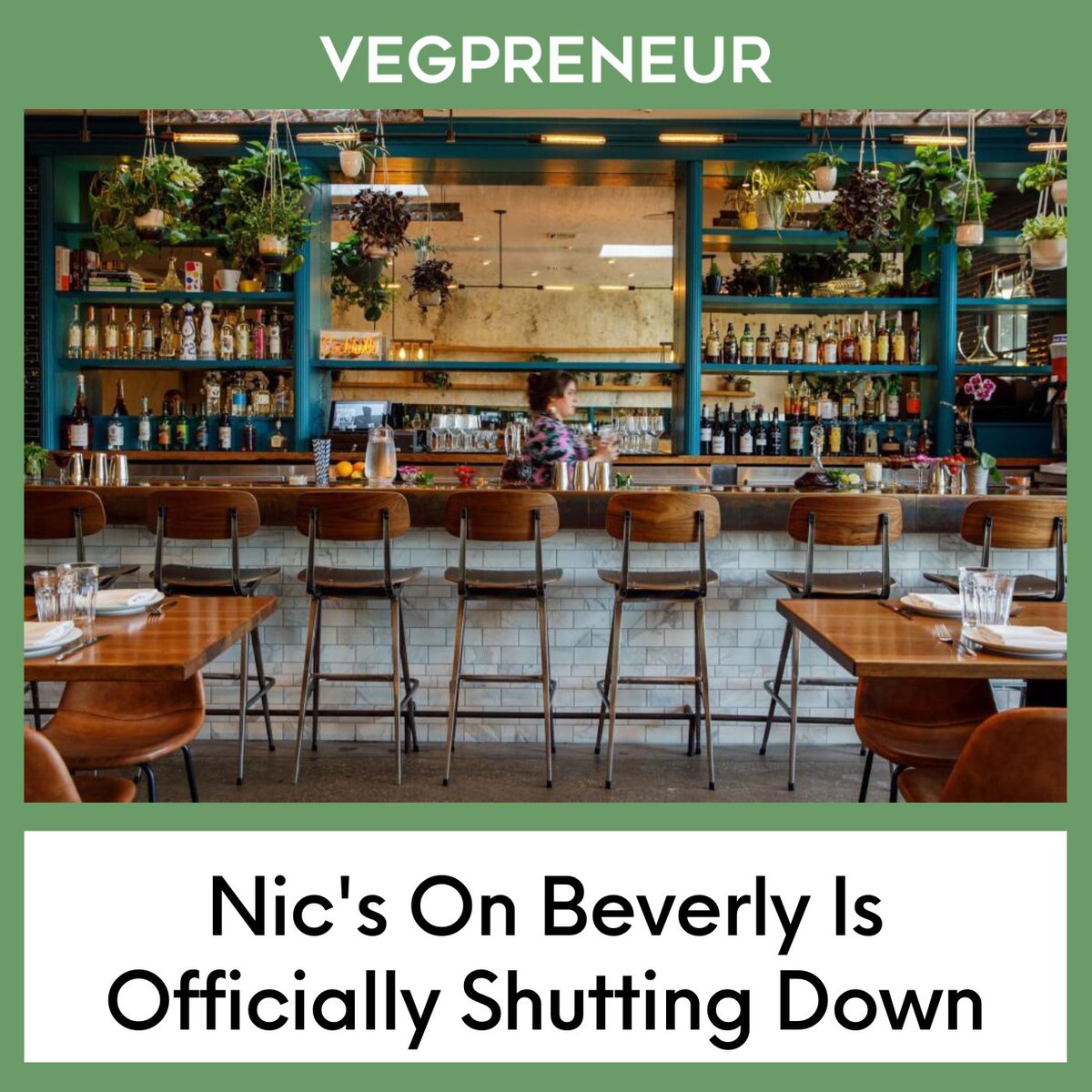 VEGPRENEUR tweet media