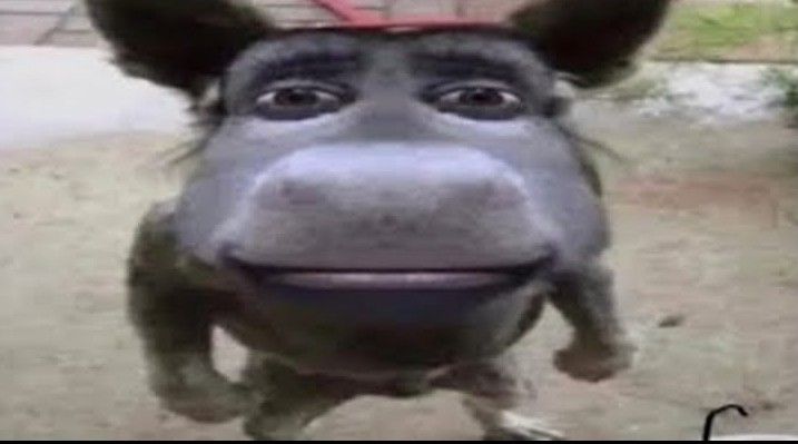 mateus lima tweet media