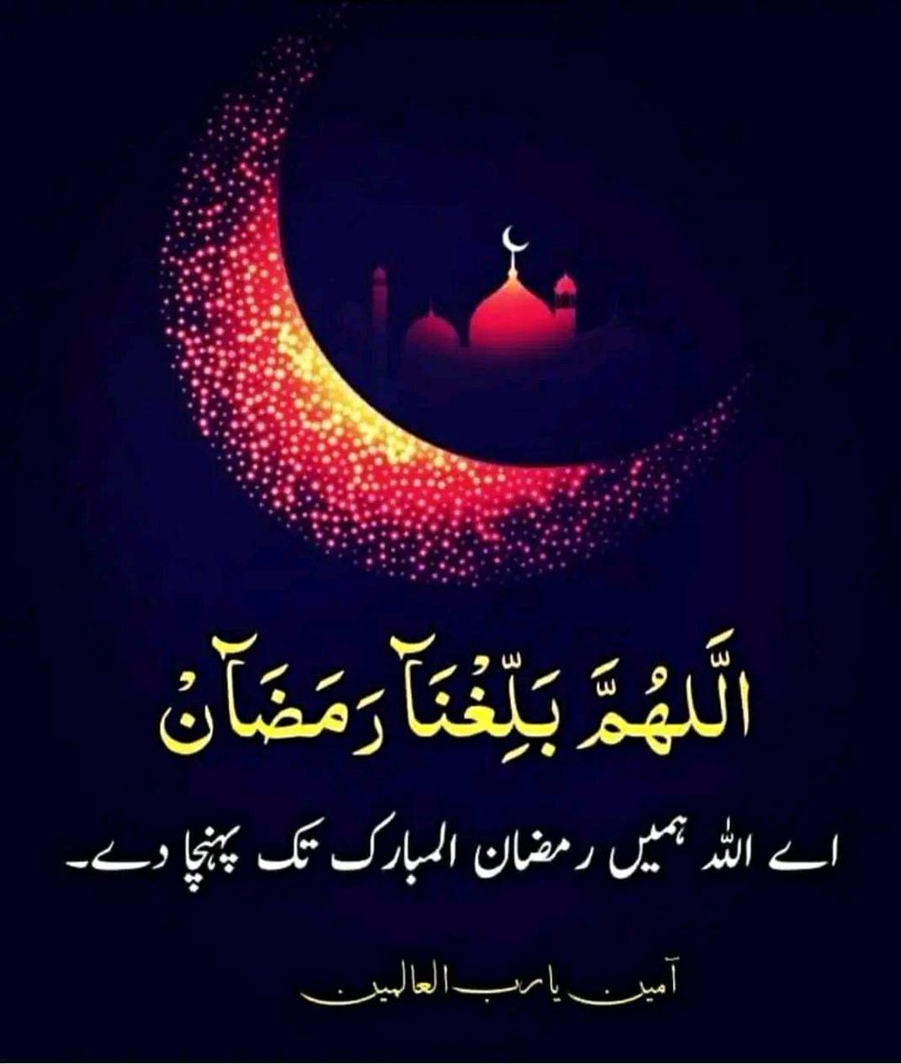 Aoa Members... Kesy hyn ap sb??