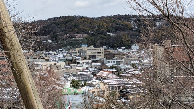 「bare tree building」 illustration images(Latest)