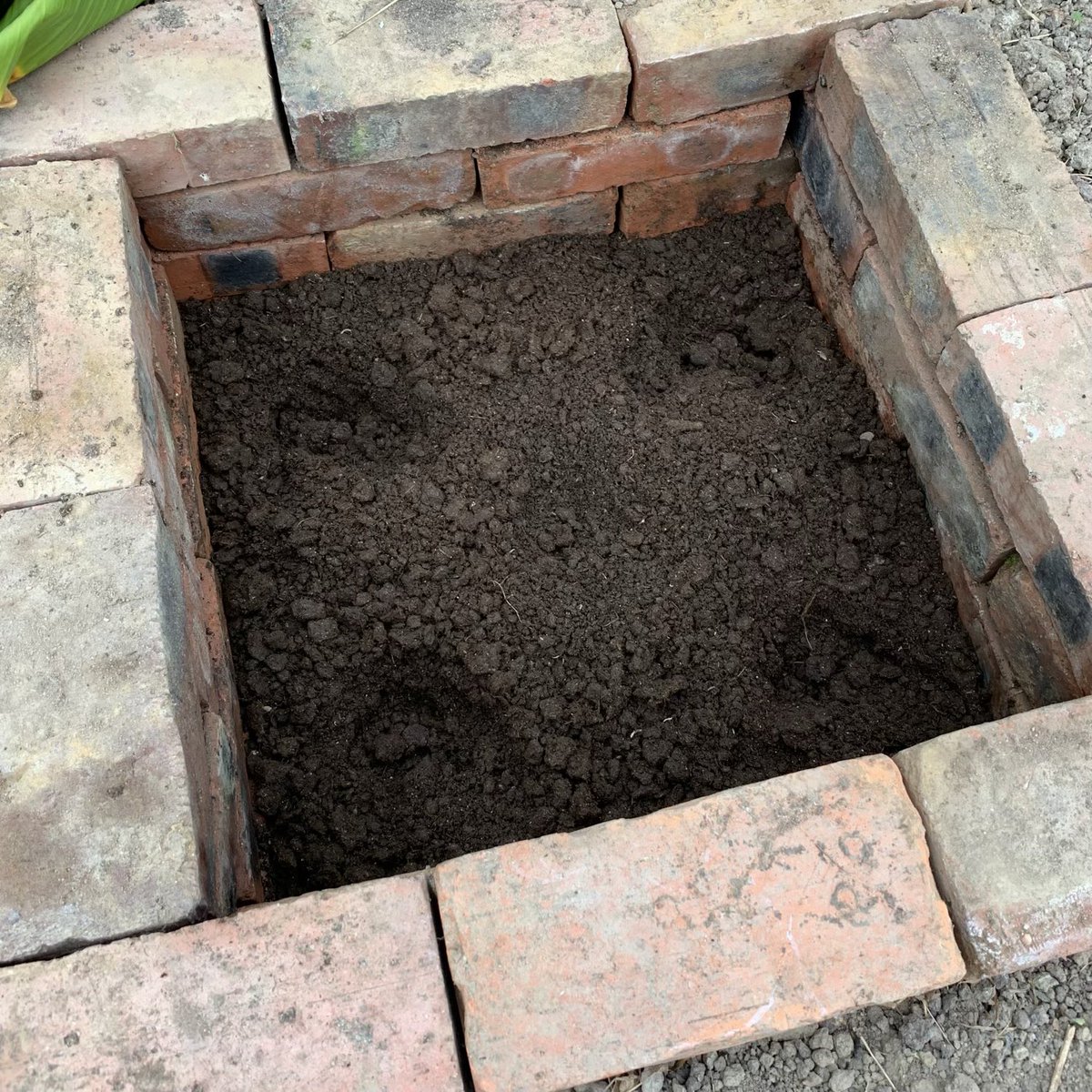 BrightBirdBio's tweet image. CPP 牛糞窖堆肥

過去半年，生活上要接受很多命運帶來的轉變，身心也需要很多時間去適應，所以有些上年十月份的工作坊的資料也沒有記錄。最近由於左手受傷，神明也指引要多休息，趁有時間便作記錄一下。

brightbirdbio.com/?p=3431