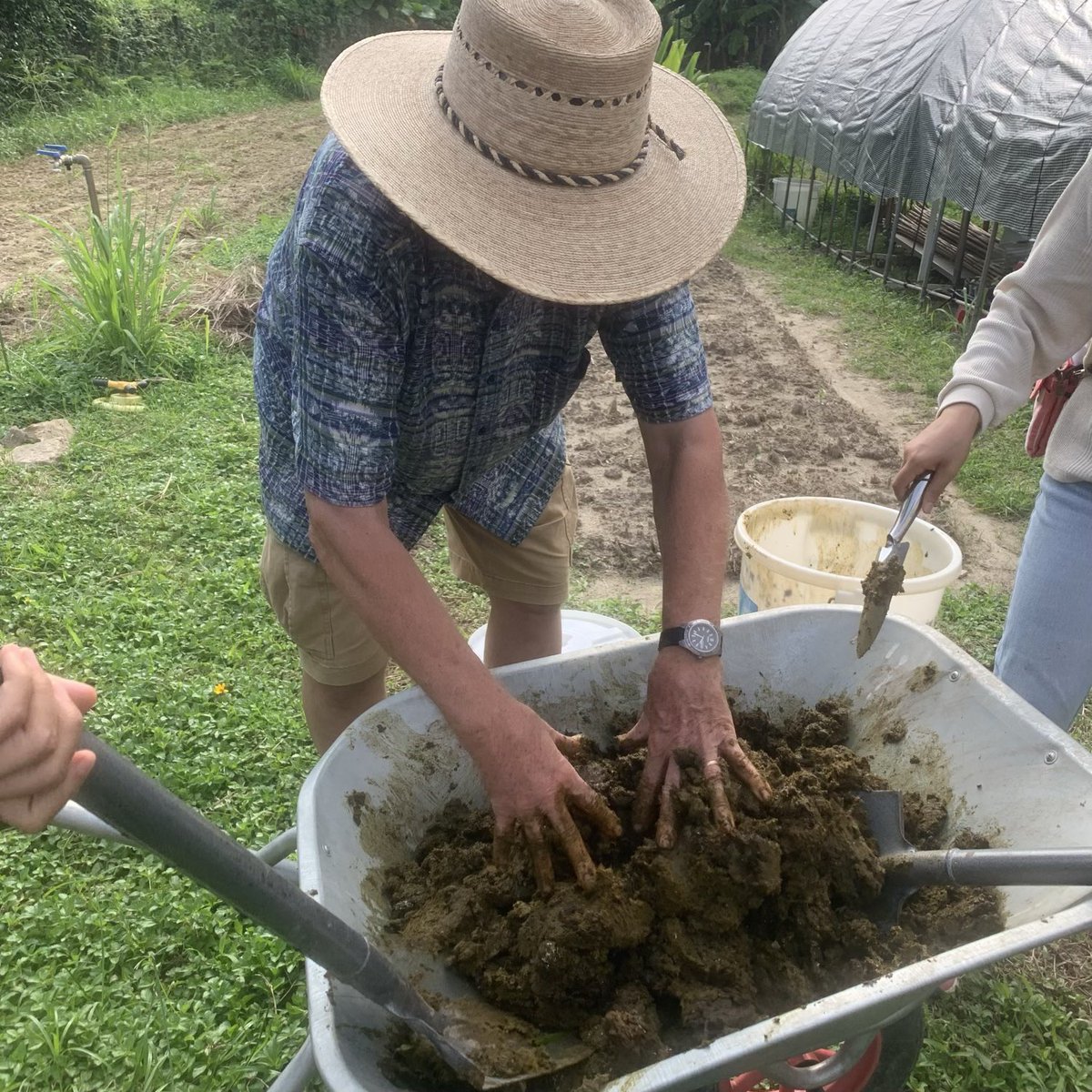 BrightBirdBio's tweet image. CPP 牛糞窖堆肥

過去半年，生活上要接受很多命運帶來的轉變，身心也需要很多時間去適應，所以有些上年十月份的工作坊的資料也沒有記錄。最近由於左手受傷，神明也指引要多休息，趁有時間便作記錄一下。

brightbirdbio.com/?p=3431