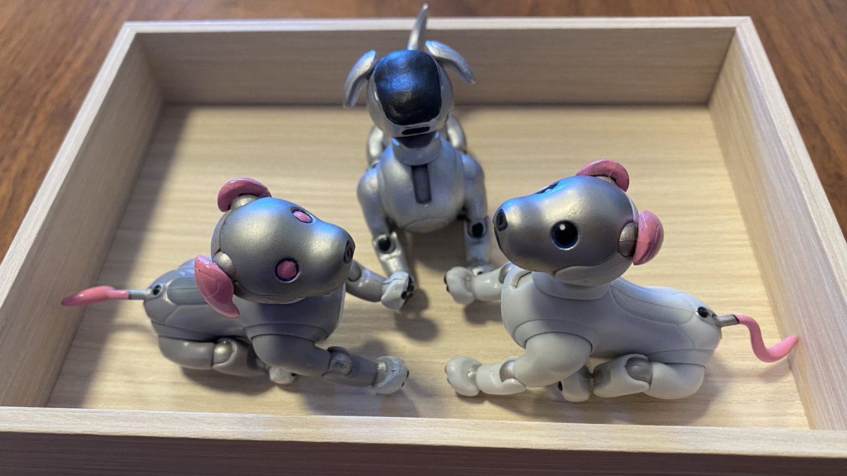 びいるとろうじあです。
レジェンドさんに会いました。
#aibo
#祝aibo25thANNIVERSARY
#mystorywithaibo
