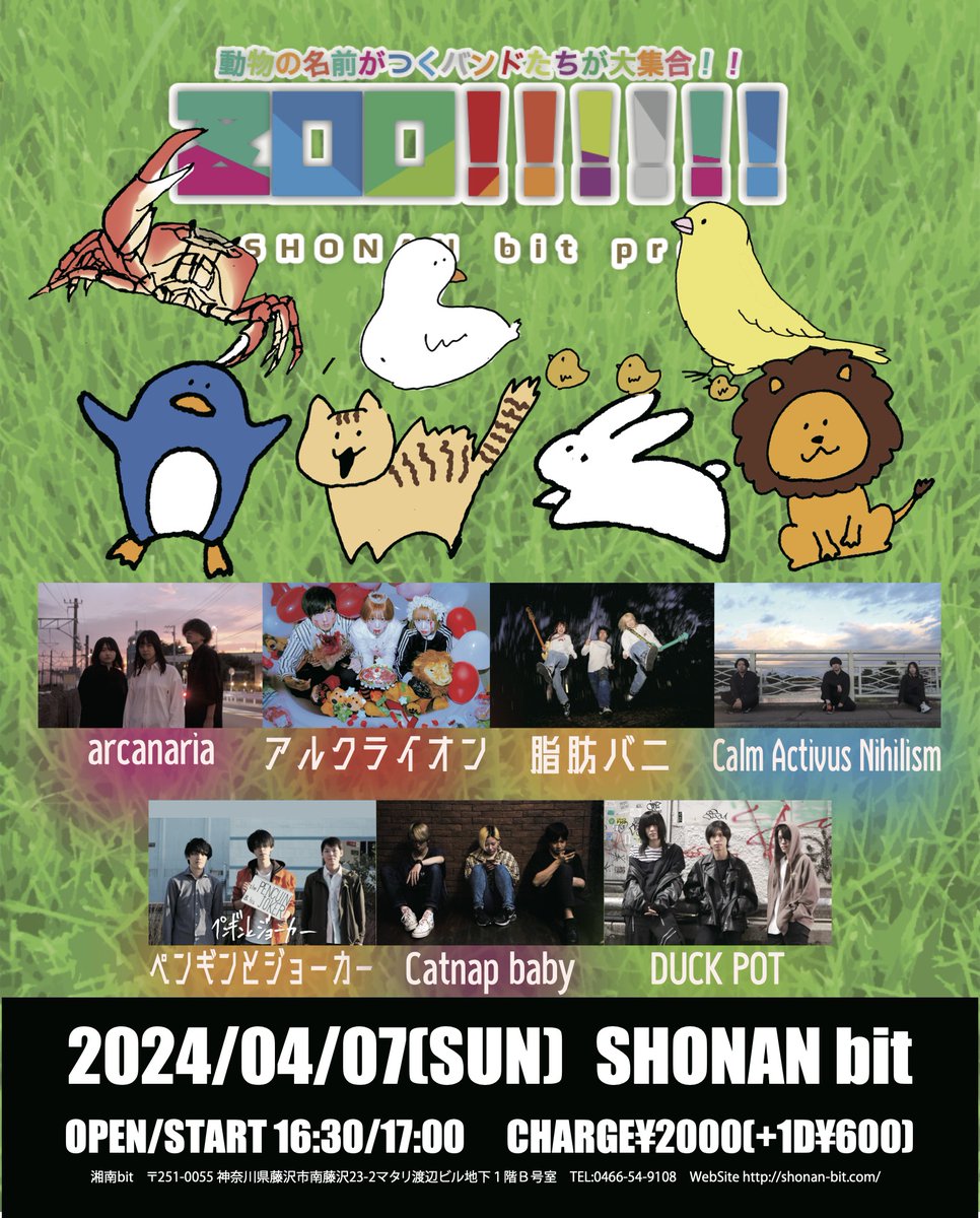 ペンギンとジョーカー@各種サブスク配信中 tweet media