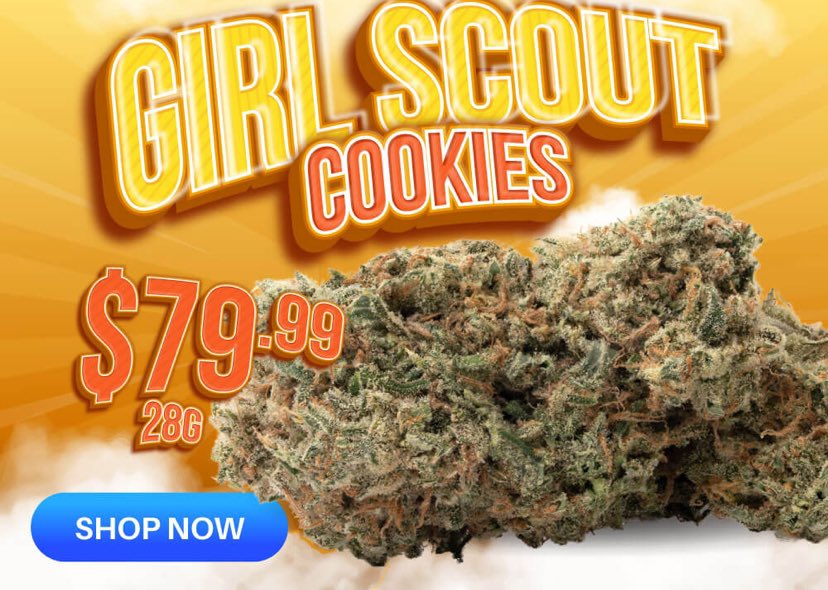 affontrk.net/?a=65&c=111&p=…
👆👆
 #CannabisCommunity #cannabisculture  #StonerFam #weedlife #Mmemberville #WeedLovers #420life #420community #Cannabis