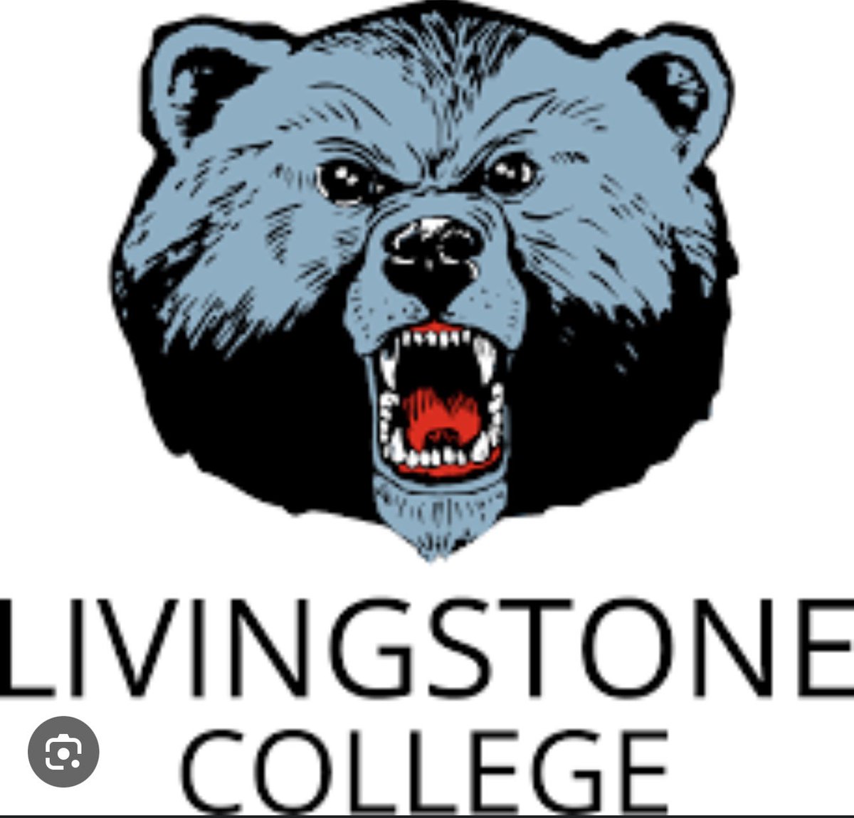 Blessed to receive an offer from Livingstone college #ATGT #gobears