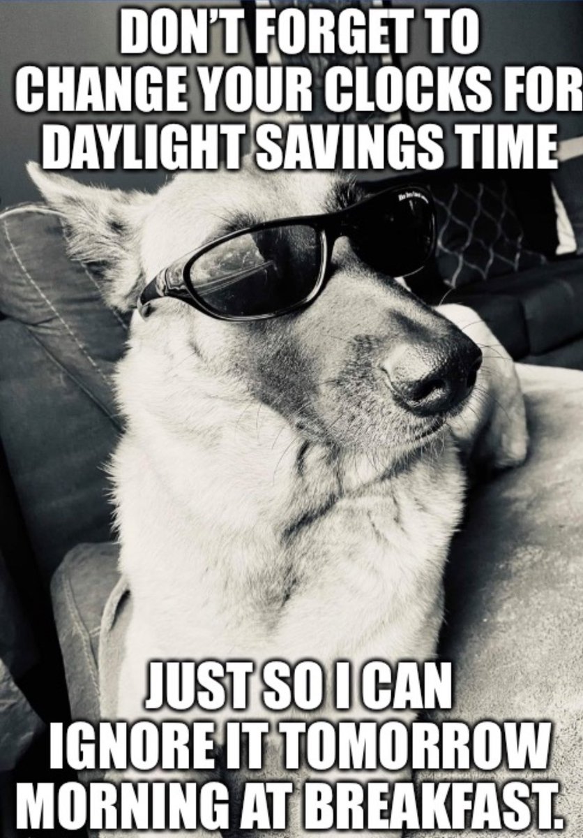Don’t forgot to set your clocks ahead for #DST #Dogsbelike