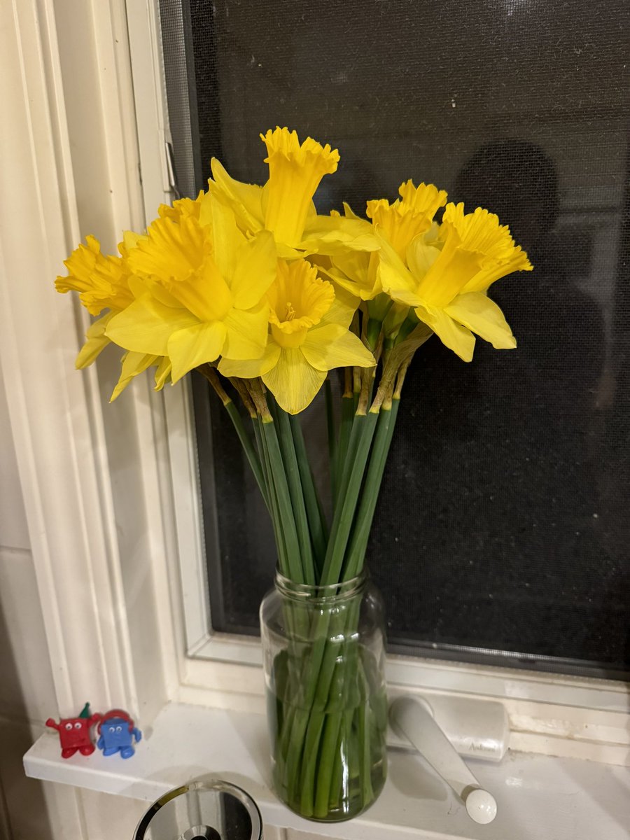 readiatrician's tweet image. When your kid has his high school theater debut in Big Fish, you buy him daffodils 🌼 #iykyk