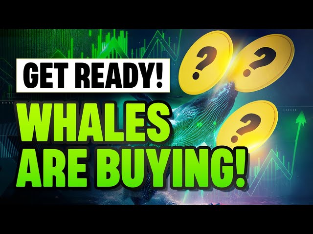 DID YOU MISS PEPE? now time for his father to get involve 10000x WHALE ARE BUYING BULL PEPE NOW

bullpepe.io 

#bullpepe $PEPE $COQ $FLOKI $RPG $GOAT $BONK #GROK $BOB $shiba $DINGER $KIRBY $PEPE $JOEL $WIF $bonk $SNYC $ELA $SHIBA $JESUS $AEGIS $WEXO #CoinMarketCap