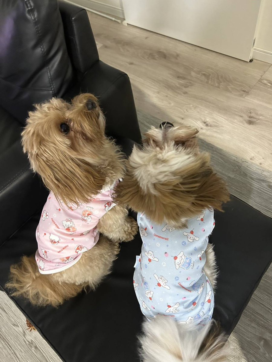 こんにちは✨😃❗
相互フォロー募集中です🐶
お願い
<a href="/emicchi1979/">えみ</a> をフォロー
お礼🐈
フォロバ
怪垢は対象外です🙅
宜しくお願いします(^.^)(-.-)(__)
#拡散希望