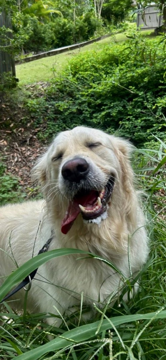 docbelinda's tweet photo. @lesstenny Fergus https://t.co/njv5MOSFmF