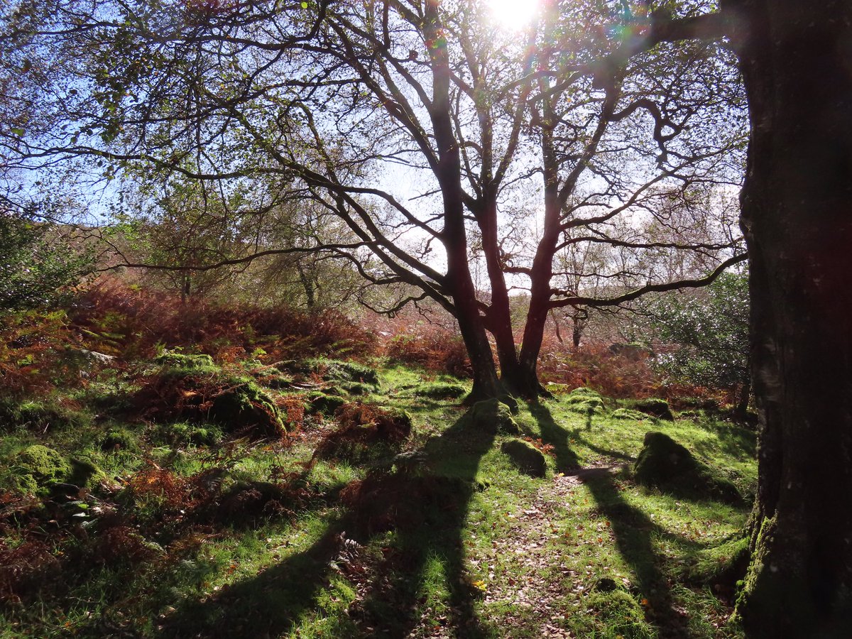 Devon Artist Network tweet media