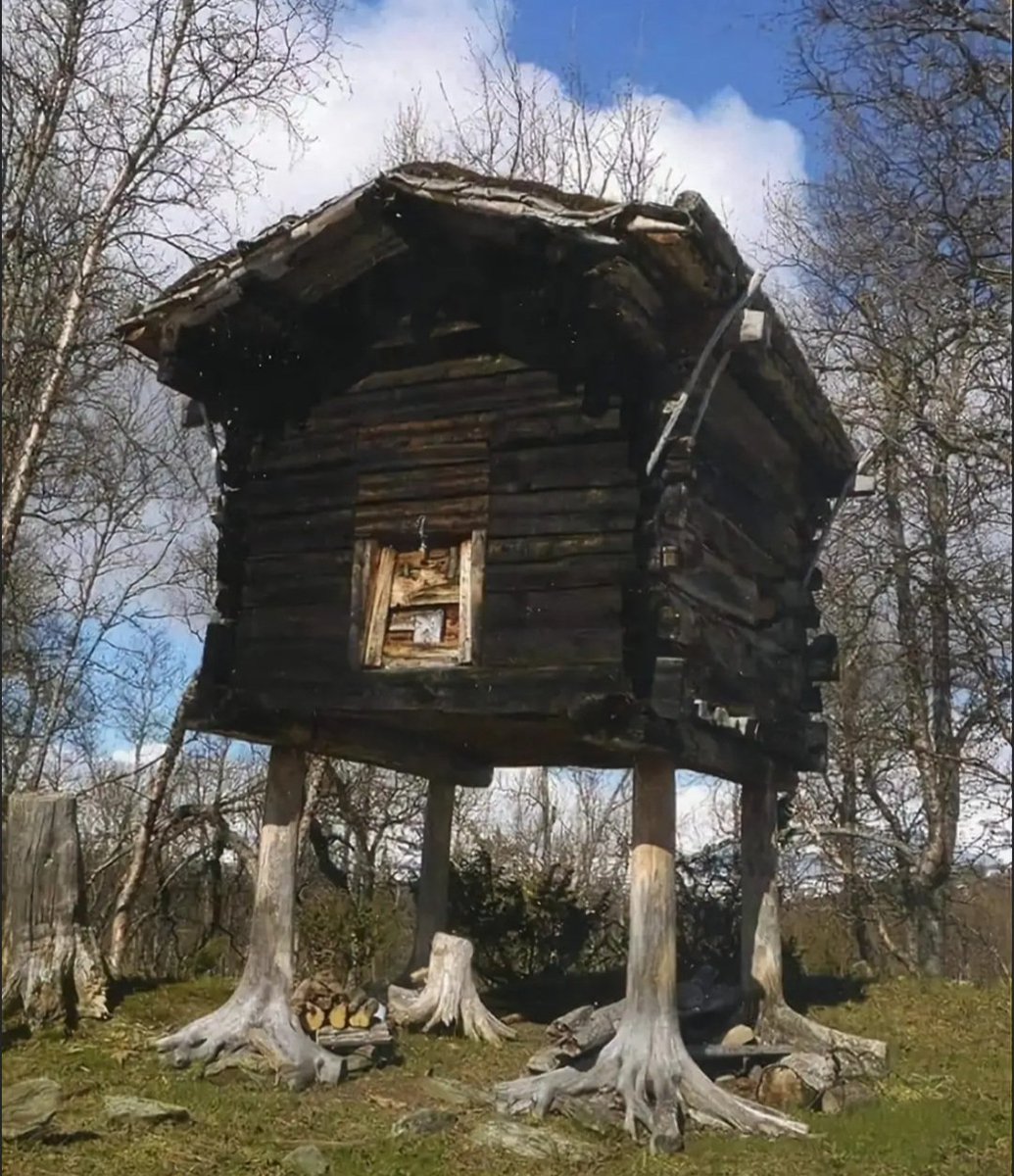 folkhorrorforum's tweet image. LEGGY- Norway&apos;s oldest house in Norland. Still standing tall