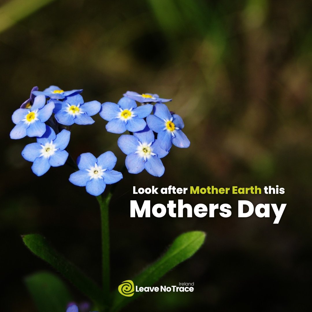 Look after Mother Earth on Mothers Day - what actions can you take?

💙 Take #3ForTheSea from our Beaches
💙 #RespectOurRivers and clean up your local bank
💙 Gift bulbs of native flowers, so they'll bloom for years to come! 

#LoveThisPlace #LeaveNoTrace