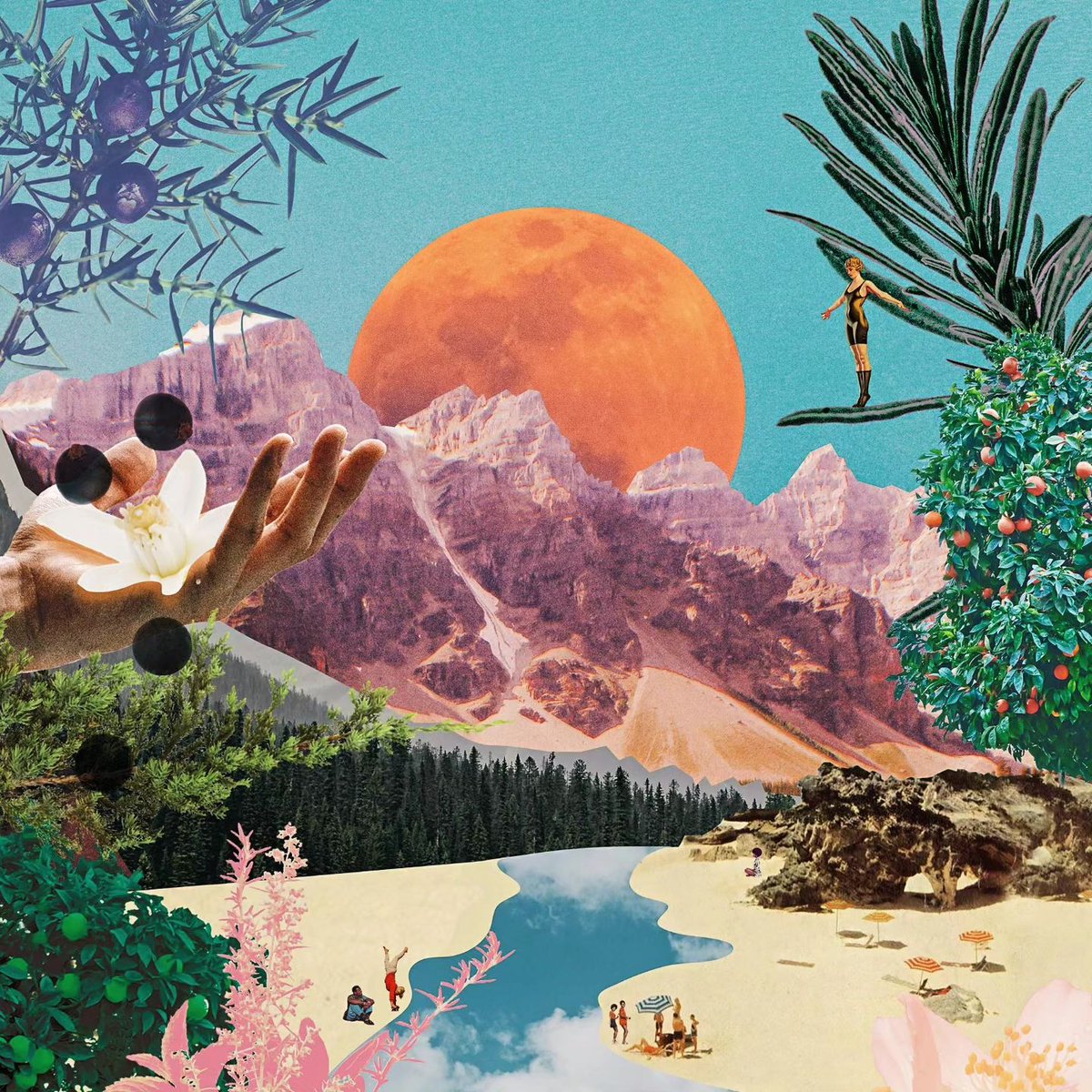 83 Oranges® — Wall Art & Print Design Studio tweet media