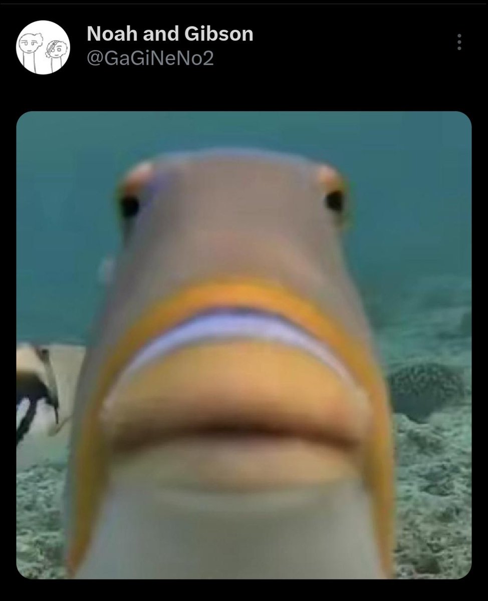 Bonkers have no context (@nocontextbonker) on Twitter photo 