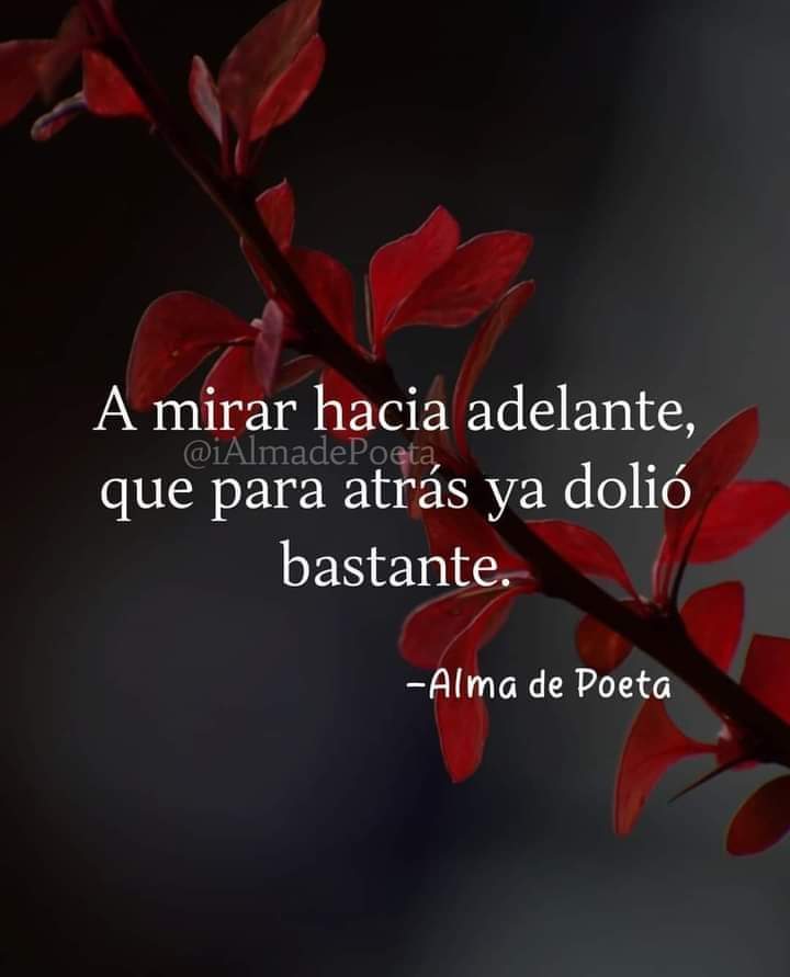 VidaEquilibrada (@vidaequilibrad4) on Twitter photo 