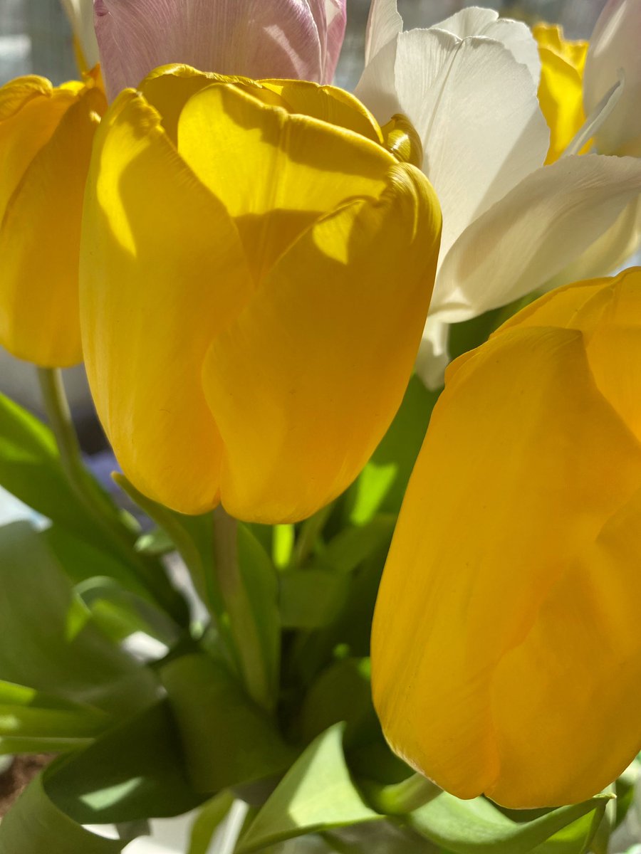 райский рай🌷💛🩷