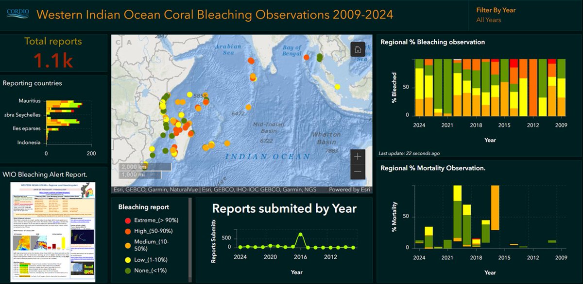 📢BLEACHING ALERT📢 Find our latest #coralbleaching alert for the Western Indian Ocean (WIO) in the link below. Bleak forecast as El Niño persists, strong bleaching across WIO coral reefs on the horizon 🪸🪸🪸 cordioea.net/coral-reef-res…