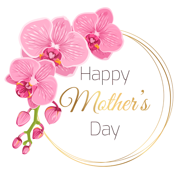 DewsMoor's tweet photo. Happy Mother's day to all those who take on the role of mother to all of our amazing players ❤️ 

#happymothersday 
#maroongirls
#maroonladies https://t.co/i75y9Zt7xw