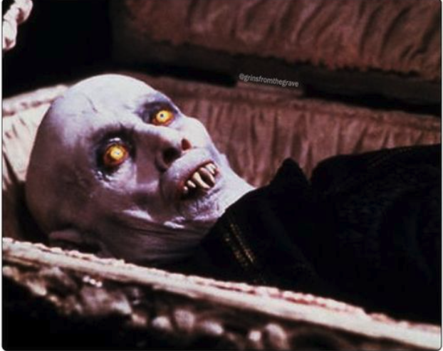 poe_real69's tweet photo. WEN YOU BEEN UP ALL NIGHT SHIT COINING AND YOU START TO HEAR THE BIRDS CHIRPING https://t.co/eLWMcpxzgj