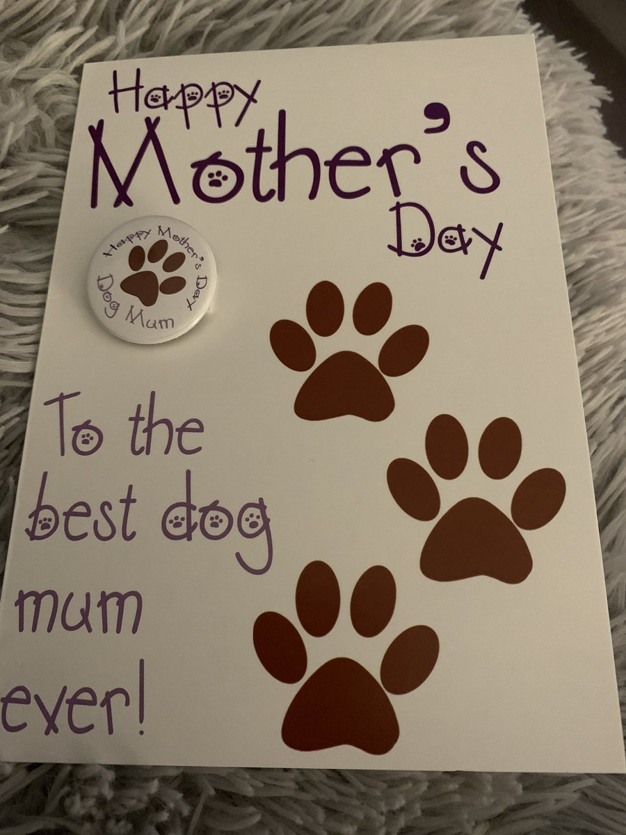 StanBen11's tweet photo. Happy Dog Mum Day to all the wonderful dog mums everywhere xxxx https://t.co/0TtrY6uCb6