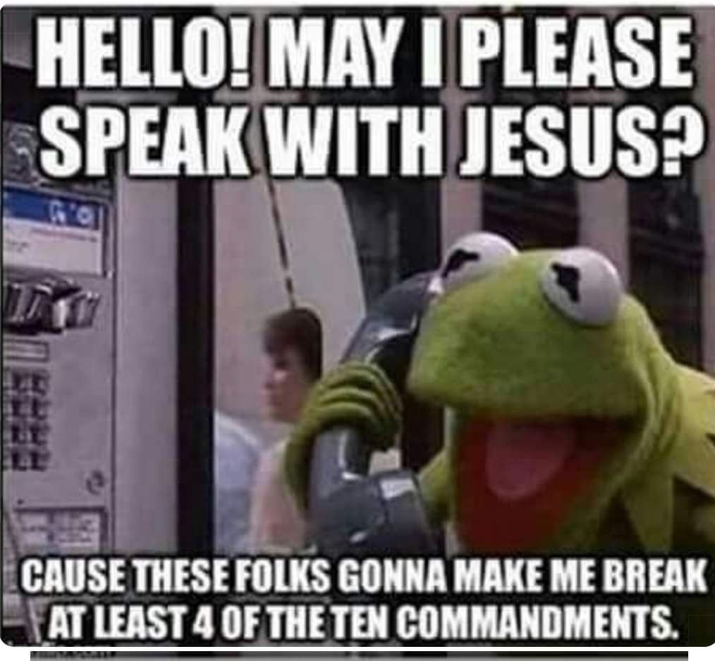 Lee Piper (Pip) tweet media