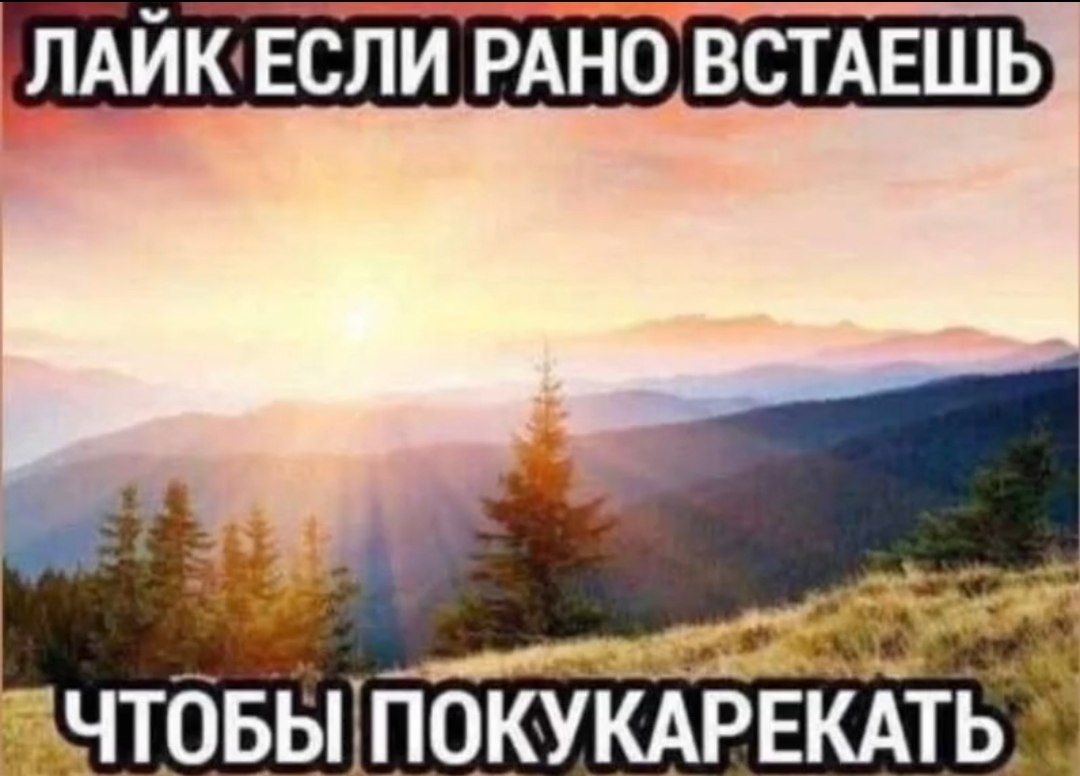 Обожаю это внезапное желание зайти в тви, начитаться тут жестких порно комиксов по гашне и снова выйти на четыре месяца. Я всем рекомендую такой образ жизни
